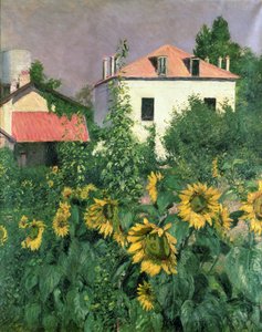 Sunflowers in the Garden at Petit Gennevilliers